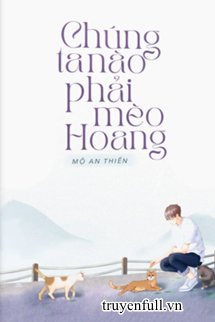 Chúng Ta Nào Phải Mèo Hoang