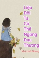 Liệu Đôi Ta Có Thể Ngừng Đau Thương